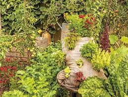 La Biodiversite Au Secours Du Jardin En 2020 Jardins Biodiversite Jardinage