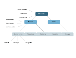 Jpg images are compressed image formats that contain digital image data. File An Example Of A Network Model Jpg Wikibooks Open Books For An Open World