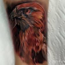Bird Of Prey Tattoo Designs Majestic Hawk Best Tattoo Design Ideas Arm Tattoo Bird Of Prey Tattoo Hawk Tattoo