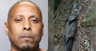 BIZARRE: Drug bust uncovers captive 9-foot alligator, dog-fighting  operation, and abused animals, officials say