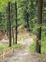 Distanţa 0 m 0 mile distanţa aeriană de la gura humorului până la putna DouÄƒ Noi Trasee Turistice La Gura Humorului La CapÄƒtul Lor FoiÈ™or De Observare Cu 6 Etaje Suceava News Online