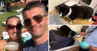 Couple stopped at airport security after cat sneaked into their luggage