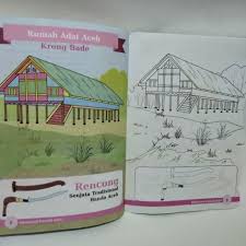 Rumah adat nuwo balak aslinya merupakan rumah tinggal bagi para kepala adat (penyimbang adat), yang dalam bahasa lampung juga disebut balai keratun. Gambar Mewarnai Rumah Adat
