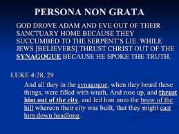 Its latin plural, should you ever need it. Persona Non Grata