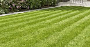 the Cheapest Artificial Grass