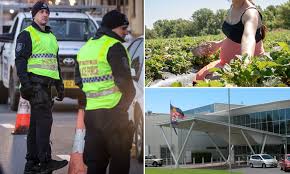 In that time he had more than 30 farms jobs and never received more than $18 an hour. Pregnant Malaysian Fruit Picker Snuck Into New South Wales From Coronavirus Stricken Victoria Daily Mail Online