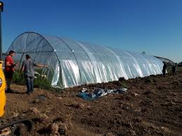 J'achète du beurre et du lait. A Petit Pas La Ferme D Aja A Febvin Palfart Locavor Fr
