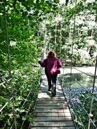 Grove of the patriarchs is a forest in washington and has an elevation of 660 metres. Grove Of The Patriarchs Trail Mt Rainier National Park Packwood Wa Hiking Path Footbridges On Waymarking Com