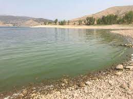 Check spelling or type a new query. Is It Safe To Swim In A Reservoir Abc4 Utah