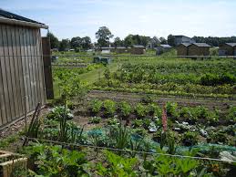 Jardins Familiaux Jardins Familliaux De L Oise