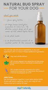 The Top Natural Mosquito Repellents For Dogs Essential Oils Dogs Natural Bug Spray Mosquito Repellent For Dogs