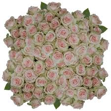 Order with confidence from our pick of top brands, selling bouquets from just £20. Salma Roses Peach Fresh Cut Flower Delivery Globalrose