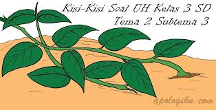 Kisi kisi pas kelas 3 semester 1 kurikulum 2013.dapatkan kisi kisi soal penilaian akhir semester atau ujian akhir semester/ uas ganjil kurtilas/ k 13 kelas iii sd/ mi tematik tema 2 tentang perkembangan teknologi th. Contoh Rpp Sd Dan Soal Sd