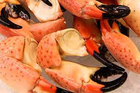 Fill a pot with water and bring it to a boil. Freshly Frozen Jumbo Stone Crabs Klf Fisheries Llc