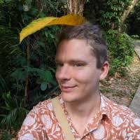 1100+ "Ilya's" profiles