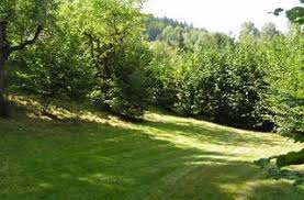 Gut erhaltener garten abzugeben ( hanglage ).bei interesse bitte melden. 12 Grundstucke In Suhl Immosuchmaschine De