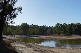 With Easter this weekend, we thought you might be up for another creative  project for the kids. Why not try making environmentally friendly Easter  Bunny ears with what's in your garden. Long