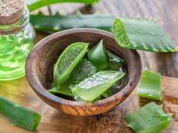Fresh Aloe Leaves And Aloe Gel In The Cosmetic Jar Aloe Vera Gel Aloe Vera Facial Fresh Aloe Vera
