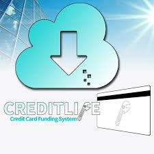 The payment card industry data security standard (pci dss) is a set of security standards designed to ensure that all companies that accept, process, store or transmit credit card information maintain a secure environment. Creditlife Credit Card Funding System