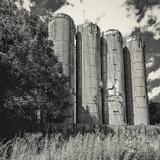 Axis 1: Inclusions/Exclusions