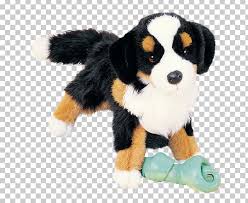 Links going to dogs mixed with the bernese mountain dog with dog information and pictures. Bernese Mountain Dog Greater Swiss Mountain Dog Labrador Retriever Puppy German Shepherd Png Clipart Animals Carnivoran