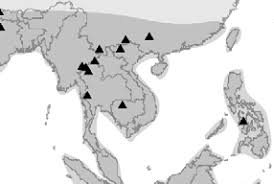 Image result for Cucumis quintanilhae