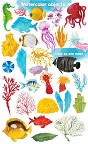 Bright Summer Only 22 Coral Painting Coral Reef Drawing Fish Art