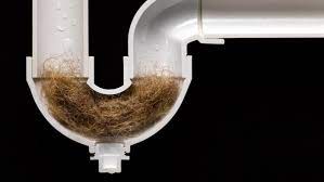 We did not find results for: What Is The Best Drain Cleaner For Hair It Worked For Me 2020 See My Photos Frugal Living Coupons And Free Stuff