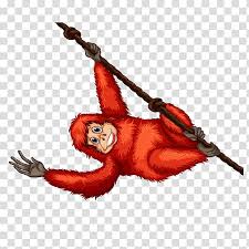 Orangutan chimpanzee western lowland gorilla primate mountain gorilla, orangutan transparent. Free Download Orangutan Cartoon Monkey Orangutan Transparent Background Png Clipart Hiclipart