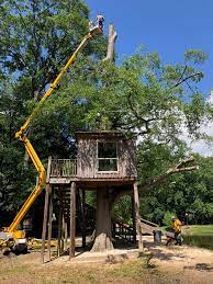 Has the latest storm caused damage to your home? Tree Care Snellville Lawrenceville Ga North American Tree Service
