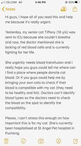 Together, we will pursue great customer service on each individual client and their pets whom we will serve. Sarah Gan On Twitter To All Cat Lovers Please Help