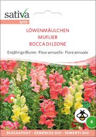 Sie können entweder ab januar vorgezogen oder ab april direkt ins freiland gepflanzt werden. Lowenmaulchen Bunt Bio Saatgut Tartuffli