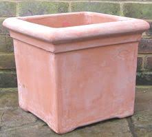 We always have several hundred houseplants in stock so whether you're new to houseplants or an avid collector, we're sure you'll find your perfect plant with us. I Think Square Planters Would Look Better For The Bays By The Side Entrance A Square Terracotta Version Terracotta Pots Patio Plants Square Planters