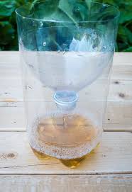 How To Get Rid Of House Flies With Vinegar Hello Lidy Fruit Fly Trap Diy Fruit Fly Trap Fruit Fly Trap Diy