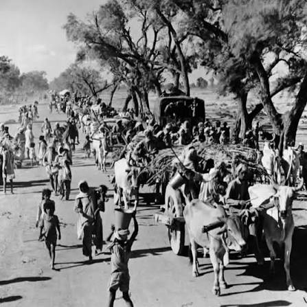 Rare Pics Of Partition Of India 1947 😢