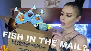 Starting Up A Planted Betta Tank Plants Scare Me Youtube