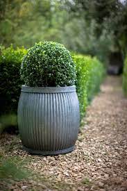 10 Easy Pieces Zinc Barrel Planters Gardenista Zinc Planters Barrel Planter Planters