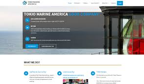 Purchasing the appropriate commercial insurance coverage can make the difference between going out of business after a loss or recovering with minimal business interruption and financial impairment to your company's operations. Tokio Marine Group