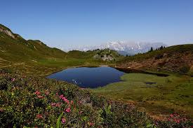 Maybe you would like to learn more about one of these? Wandern Im Tal Der Almen Pension Jagdhof Grossarl