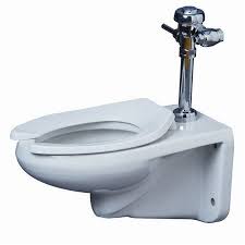 Proflo Pf1731 High Efficiency Elongated Toilet Bowl Only White Fixture Toilet Bowl Only Wall Mounted Toilet Toilet Bowl Toilet