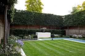 Pin By Elizabeth Davila Valdes On Redmond Garden Hedges Garden Landscape Design Outdoor Landscaping