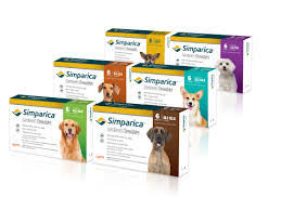 Mar 16, 2021 · coming in third place for best flea medicine for dogs without a vet prescription is coconut oil. Pet Meds No Prescription Required Simparica