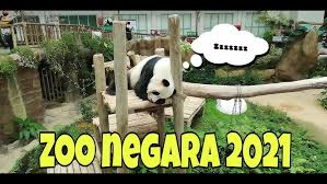 How to reach zoo negara. Family Guide To Zoo Negara Kuala Lumpur Youtube