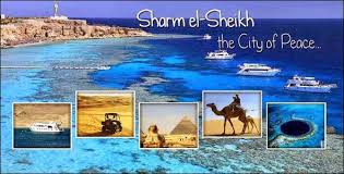 شركات سياحة لحجز الطيران
