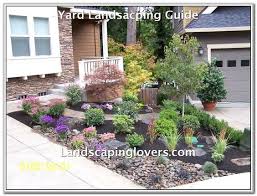 I took this photo this morning when the tree guys were just starting. 20 Front Yard Ideas No Grass Magzhouse