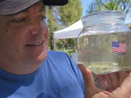 March for Science: Hey, hey, what do you say? We cheer science all the way! 