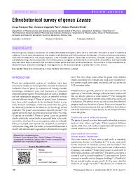 Image result for Leucas milanjiana