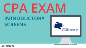 Serving olympia, centralia, tacoma, seattle, wa, and surrounding areas. Cpa Exam Introductory Screens New Exam Edition Changes Going Concern