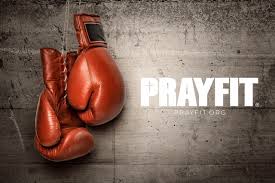 My Fighting Self Prayfit Boxing Gloves Red Boxing Gloves Gloves