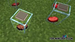 Download the mcpe addons app. Jars And Plates Addon For Minecraft Pe 1 16